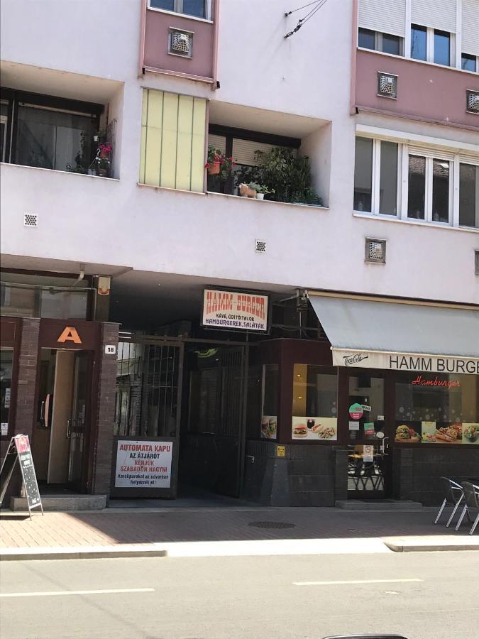 Dom Square-Centrum-Free Parking Daire Segedin Dış mekan fotoğraf